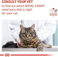 Royal Canin Urinary SO Moderate Calorie Dry Cat Food 3.5kg - Bladder Health & Weight ManagementKittyMart