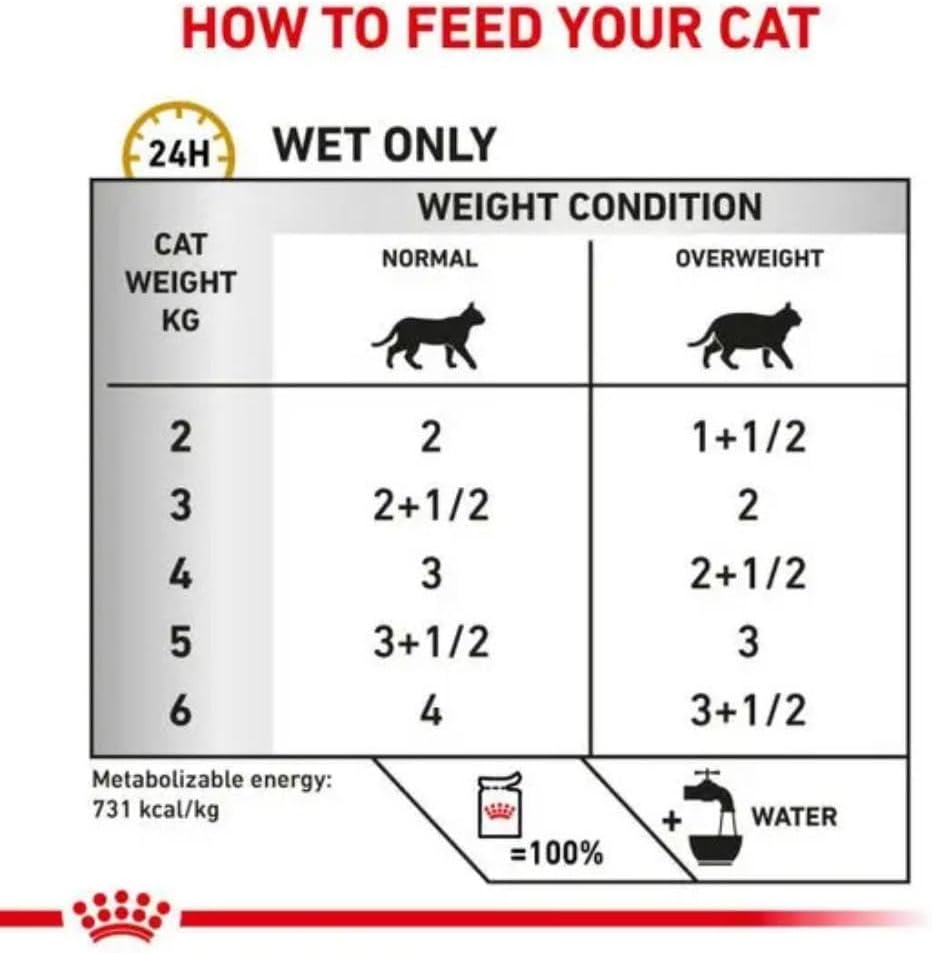 Royal Canin Urinary SO Moderate Calorie Dry Cat Food 3.5kg - Bladder Health & Weight ManagementKittyMart