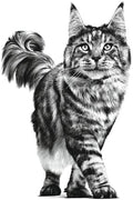 Royal Canin Veterinary Gastrointestinal Dry Cat Food 4kg - Digestive SupportKittyMart