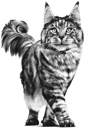 Royal Canin Veterinary Gastrointestinal Dry Cat Food 4kg - Digestive SupportKittyMart