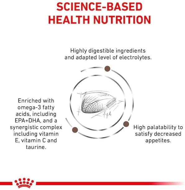 Royal Canin Veterinary Gastrointestinal Dry Cat Food 4kg - Digestive SupportKittyMart