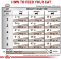 Royal Canin Veterinary Gastrointestinal Dry Cat Food 4kg - Digestive SupportKittyMart