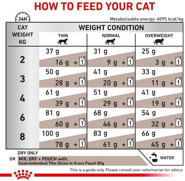 Royal Canin Veterinary Gastrointestinal Dry Cat Food 4kg - Digestive SupportKittyMart