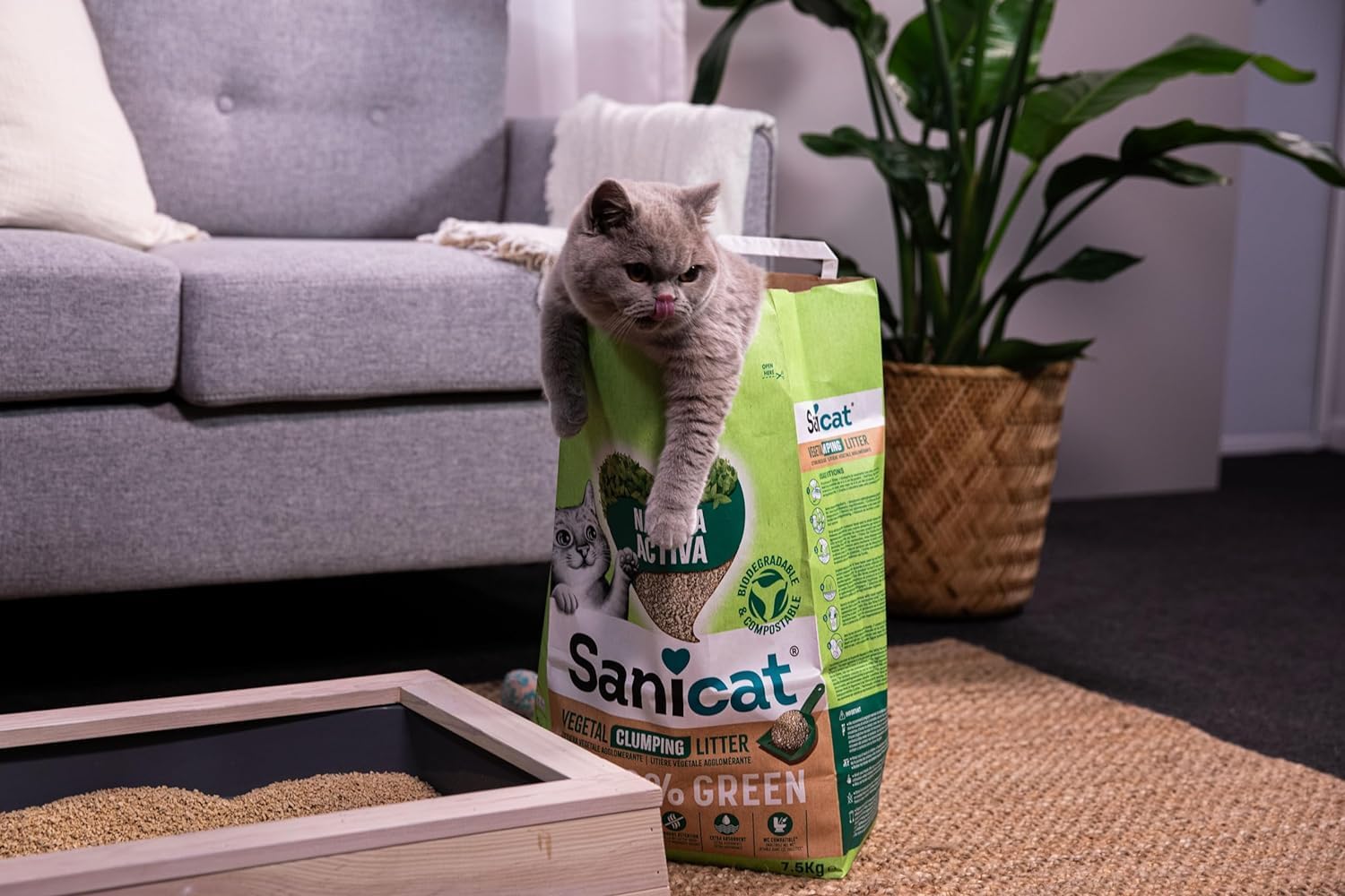 Sanicat Natura Activa 100% Green Natural Clumping Cat Litter 4 x 2.5kgKittyMart