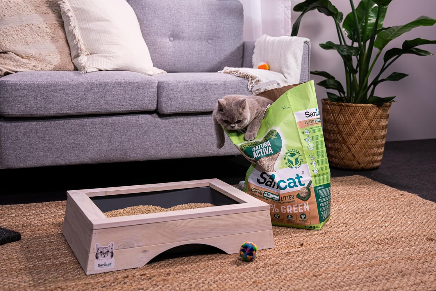 Sanicat Natura Activa 100% Green Natural Clumping Cat Litter 4 x 2.5kgKittyMart