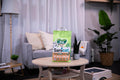 Sanicat Natura Activa 100% Green Natural Clumping Cat Litter 4 x 2.5kgKittyMart