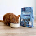 Scrumbles Chicken Dry Kitten Food 2.5kg - High Protein for Growing KittensKittyMart