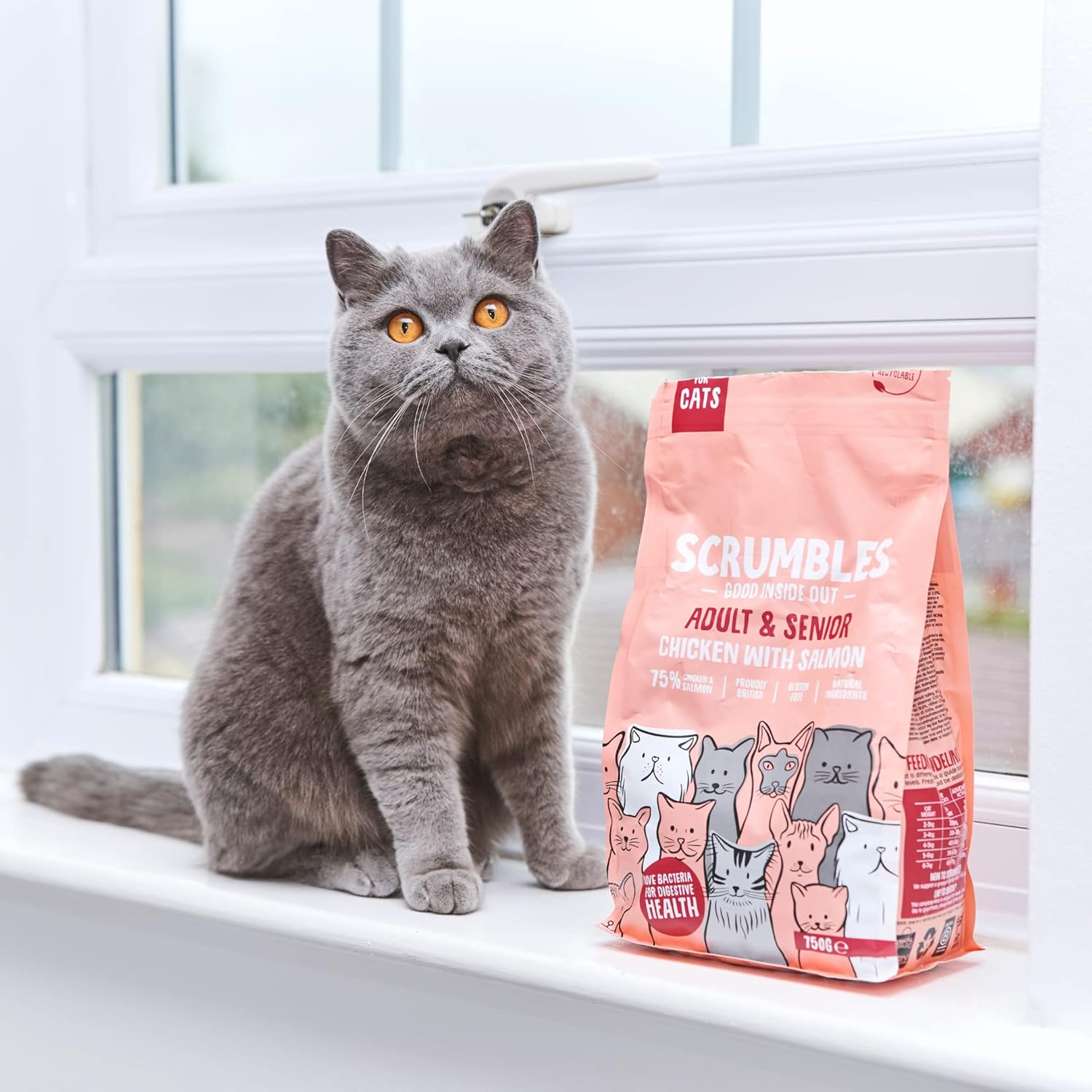 Scrumbles Chicken & Salmon Dry Cat Food 2.5kg - High Protein Adult & SeniorKittyMart