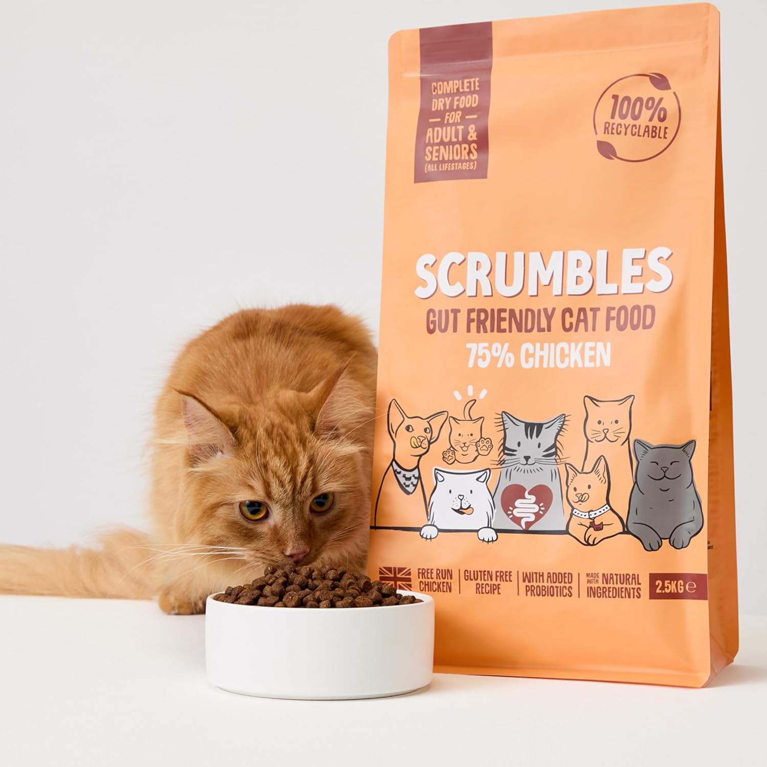 Scrumbles Natural Chicken Dry Cat Food 2.5kg - High Protein Adult & SeniorKittyMart