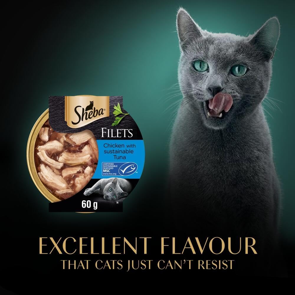 Sheba Fillets Cat Food Tray with Chicken and Tuna in GravyKittyMart