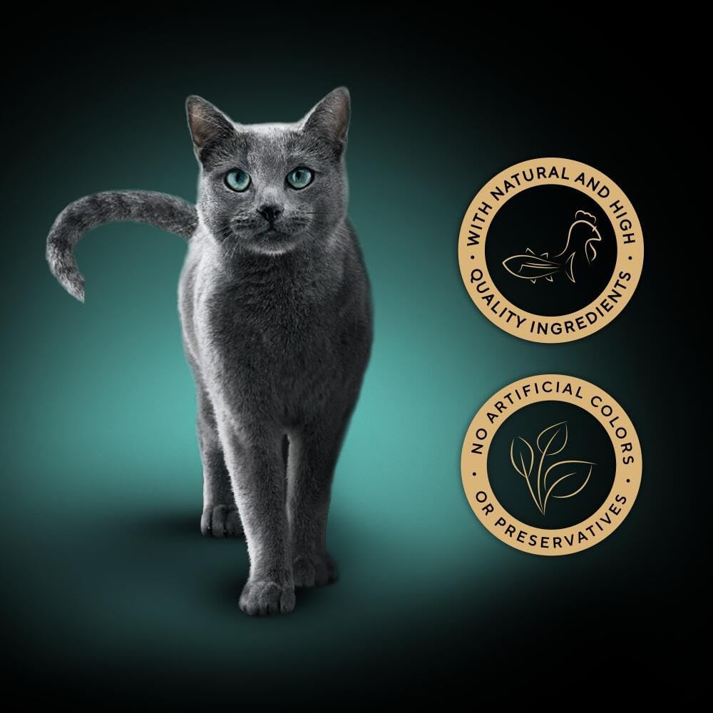 Sheba Fillets Cat Food Tray with Chicken and Tuna in GravyKittyMart