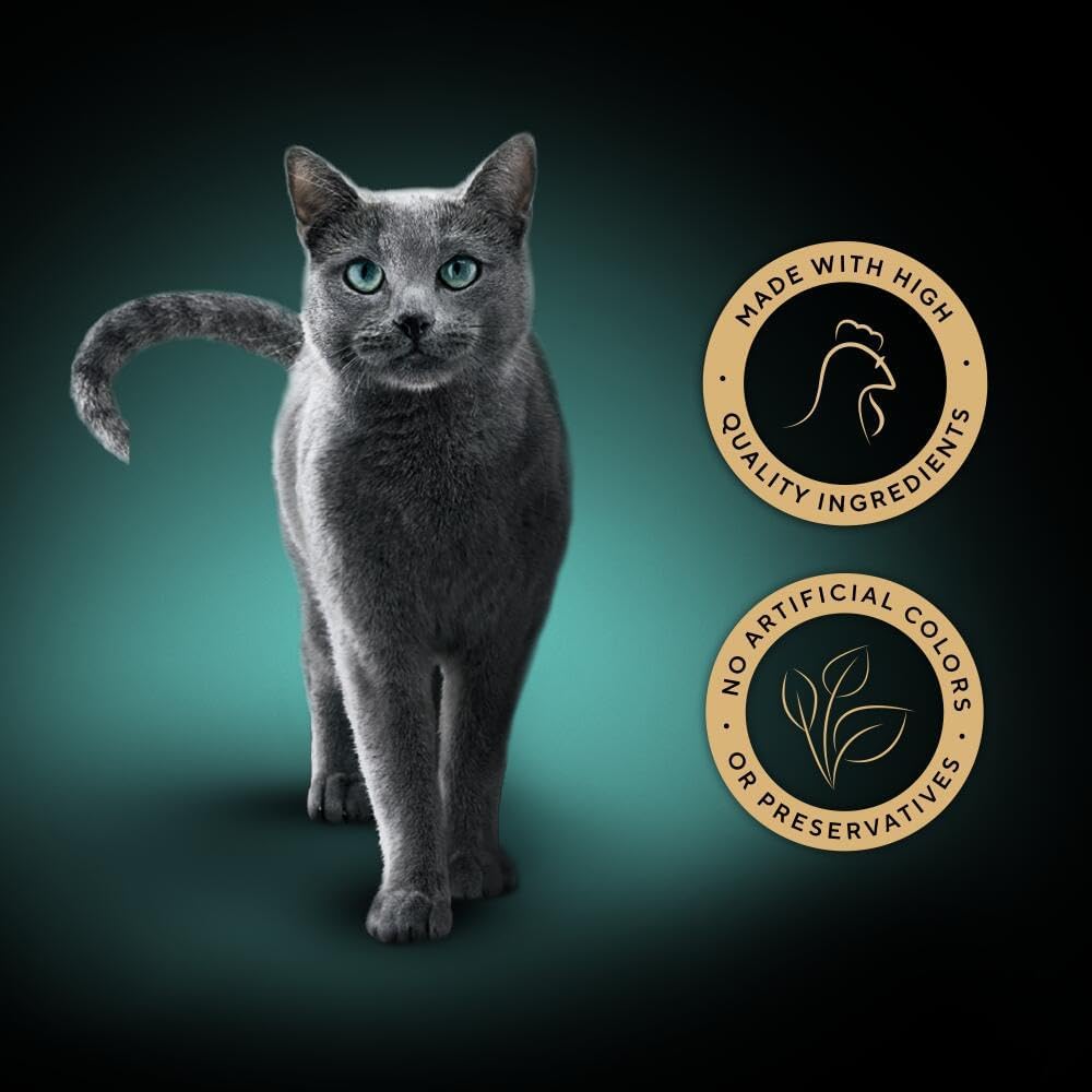 Sheba Fillets Cat Food Tray with Chicken in GravyKittyMart