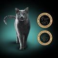 Sheba Fillets Cat Food Tray with Chicken, Shrimp and Ocean Fish in GravyKittyMart