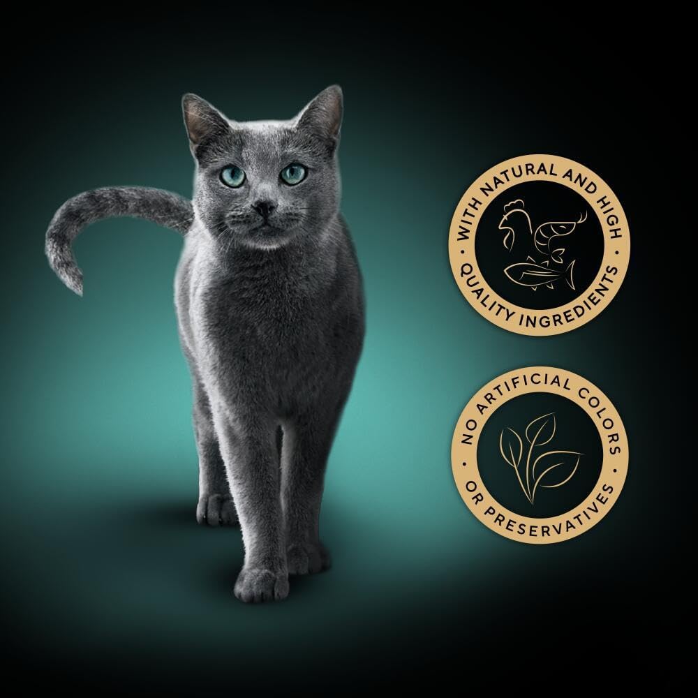 Sheba Fillets Cat Food Tray with Chicken, Shrimp and Ocean Fish in GravyKittyMart