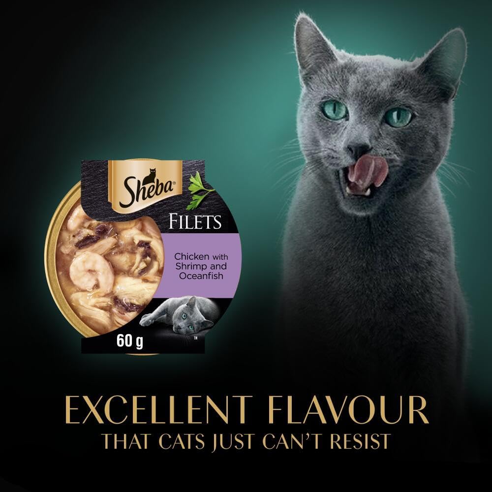Sheba Fillets Cat Food Tray with Chicken, Shrimp and Ocean Fish in GravyKittyMart