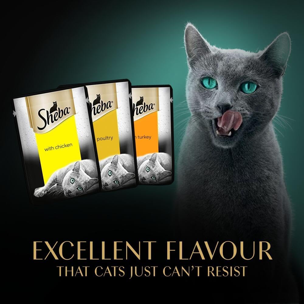 Sheba Fresh and Fine Wet Cat Food Pouches – Poultry in Gravy – 50g (Pack of 1 ) – Premium, High - Quality, Recyclable PouchesKittyMart