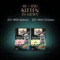 Sheba Sauce Collection Kitten Wet Cat Food – Mixed Selection in Gravy – 40 x 85g Pouches – Grain - Free, High - Quality IngredientsKittyMart