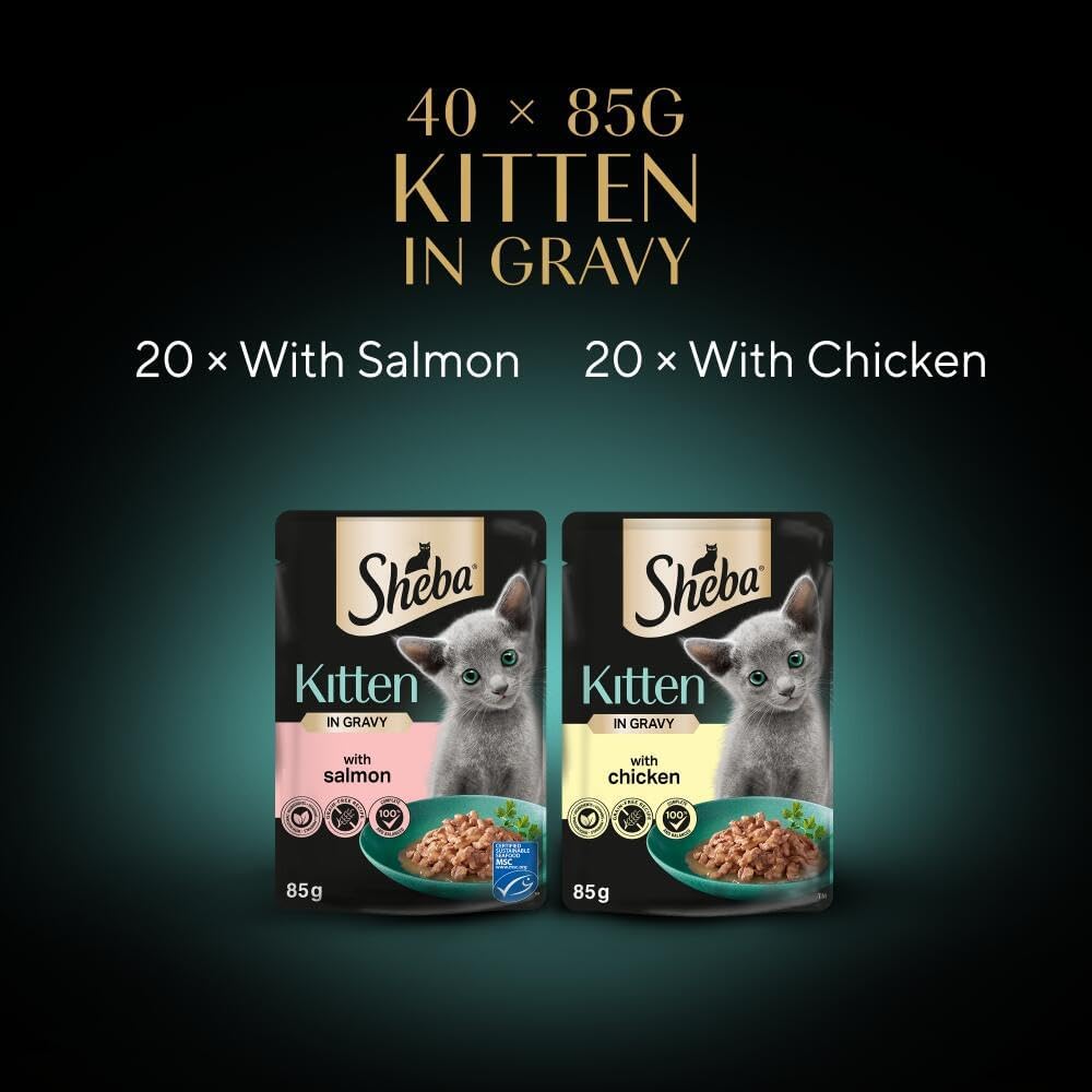 Sheba Sauce Collection Kitten Wet Cat Food – Mixed Selection in Gravy – 40 x 85g Pouches – Grain - Free, High - Quality IngredientsKittyMart