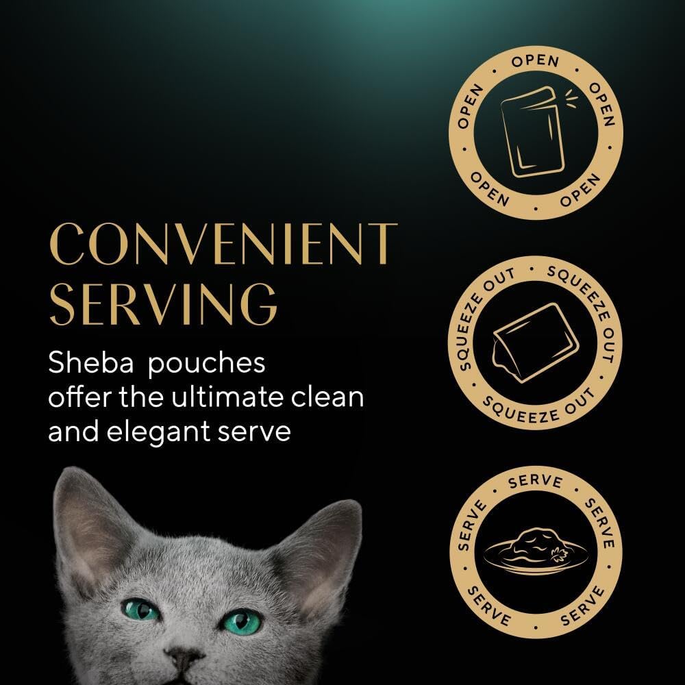 Sheba Sauce Collection Kitten Wet Cat Food – Mixed Selection in Gravy – 40 x 85g Pouches – Grain - Free, High - Quality IngredientsKittyMart