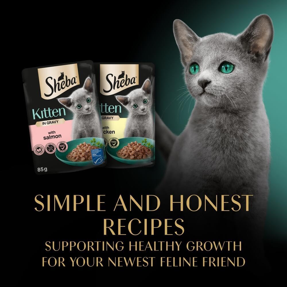 Sheba Sauce Collection Kitten Wet Cat Food – Mixed Selection in Gravy – 40 x 85g Pouches – Grain - Free, High - Quality IngredientsKittyMart