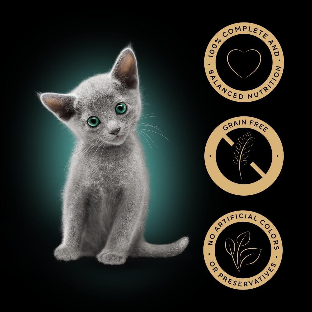 Sheba Sauce Collection Kitten Wet Cat Food – Mixed Selection in Gravy – 40 x 85g Pouches – Grain - Free, High - Quality IngredientsKittyMart