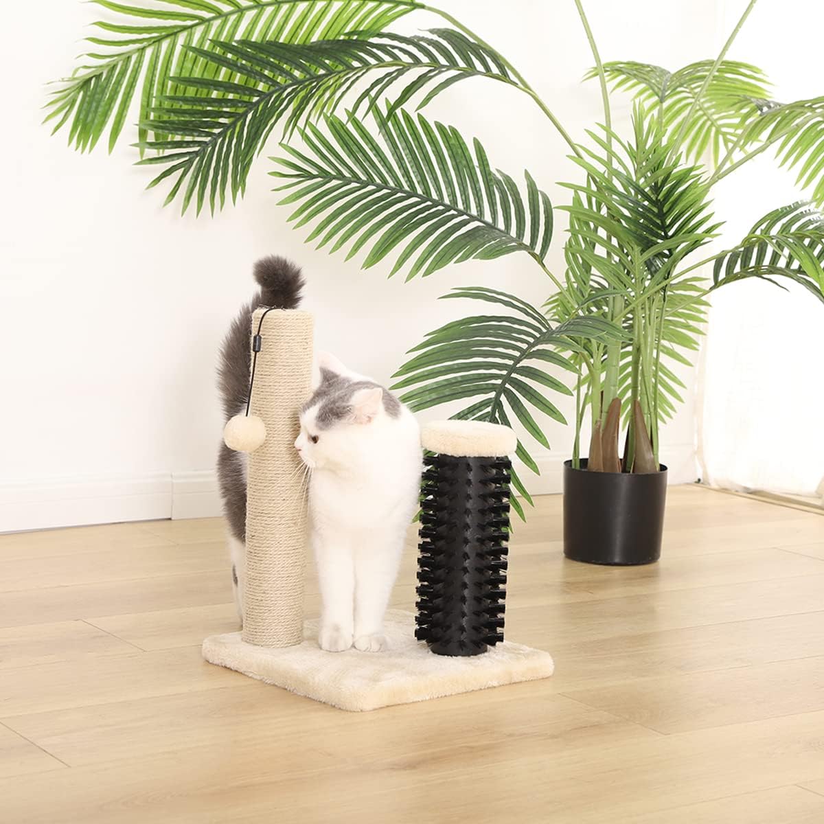 Small Cat Scratching Post with Hanging Toy – GreyKittyMart