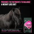 SPILLERS Lite & Lean Balancer Horse Feed (20kg)Equine FeedKittyMart
