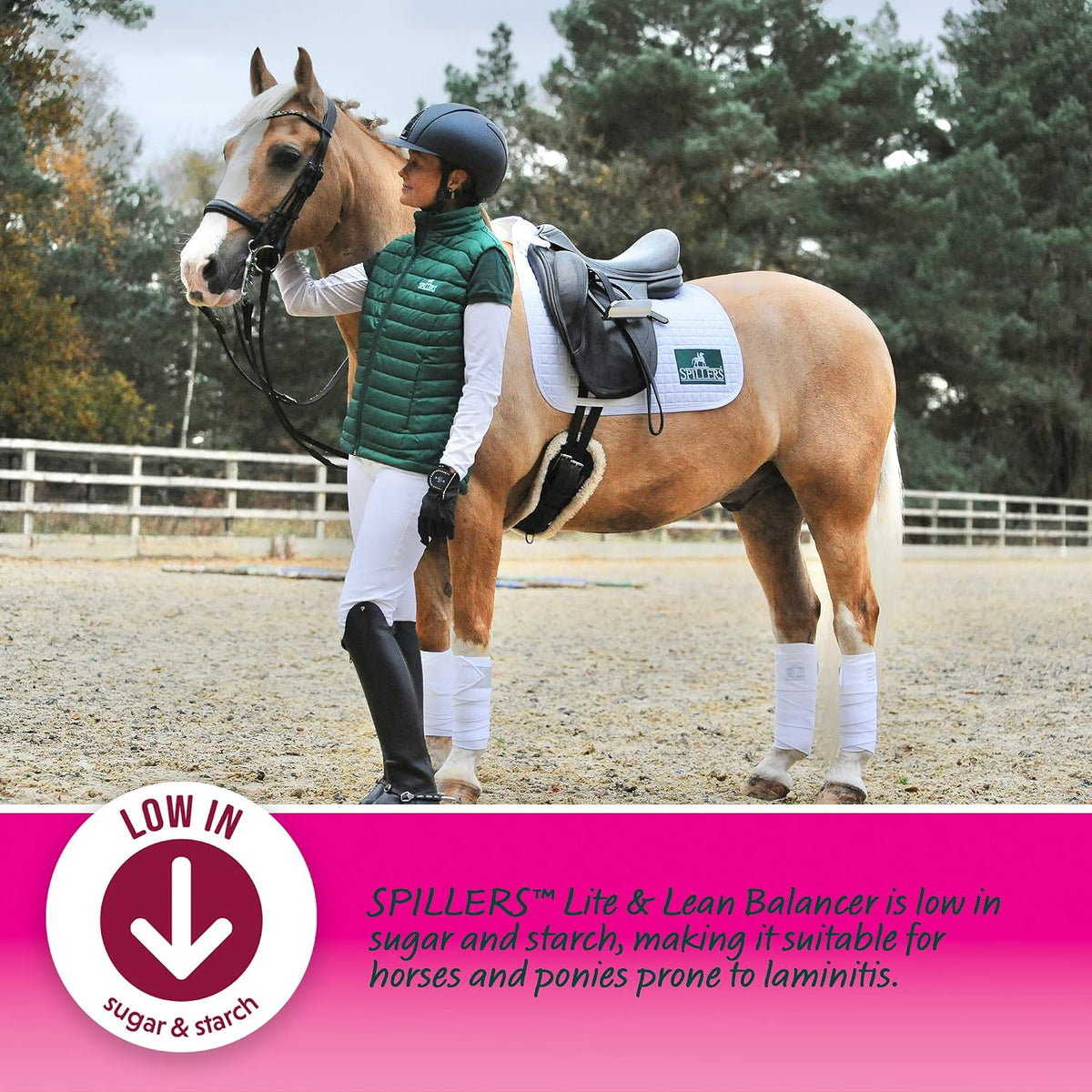 SPILLERS Lite & Lean Balancer Horse Feed (20kg)Equine FeedKittyMart