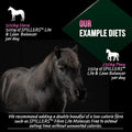 SPILLERS Lite & Lean Balancer Horse Feed (20kg)Equine FeedKittyMart