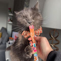 Webbox Lick - e - Lix Cat Treats - Chicken (10 x 5 - Pack = 50 Sachets)KittyMart