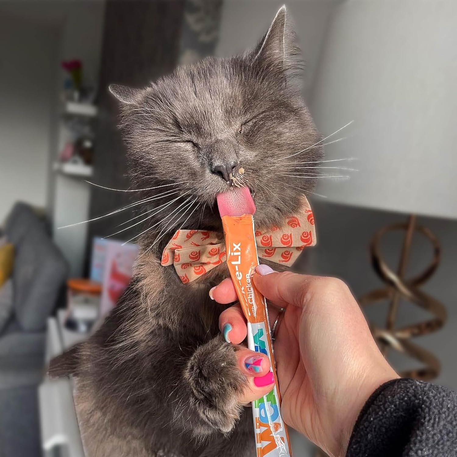 Webbox Lick - e - Lix Cat Treats Variety Value Pack - Kitten Friendly, Grain Free, No Artificial Preservatives or Colours (50 Pack)KittyMart