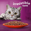 Whiskas 1+ Adult Classic Selection in Jelly - Wet Cat Food | 84 Pouch Megapack |KittyMart