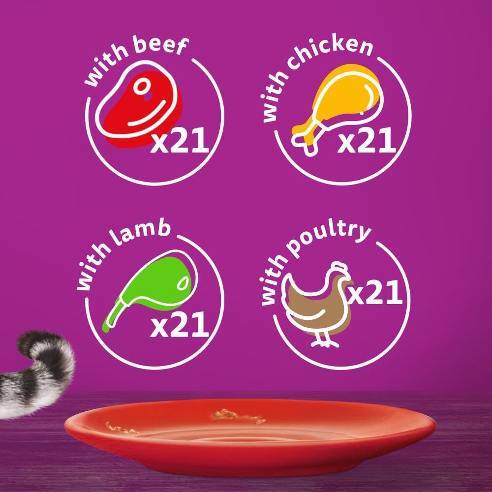 Whiskas 1+ Adult Classic Selection in Jelly - Wet Cat Food | 84 Pouch Megapack |KittyMart