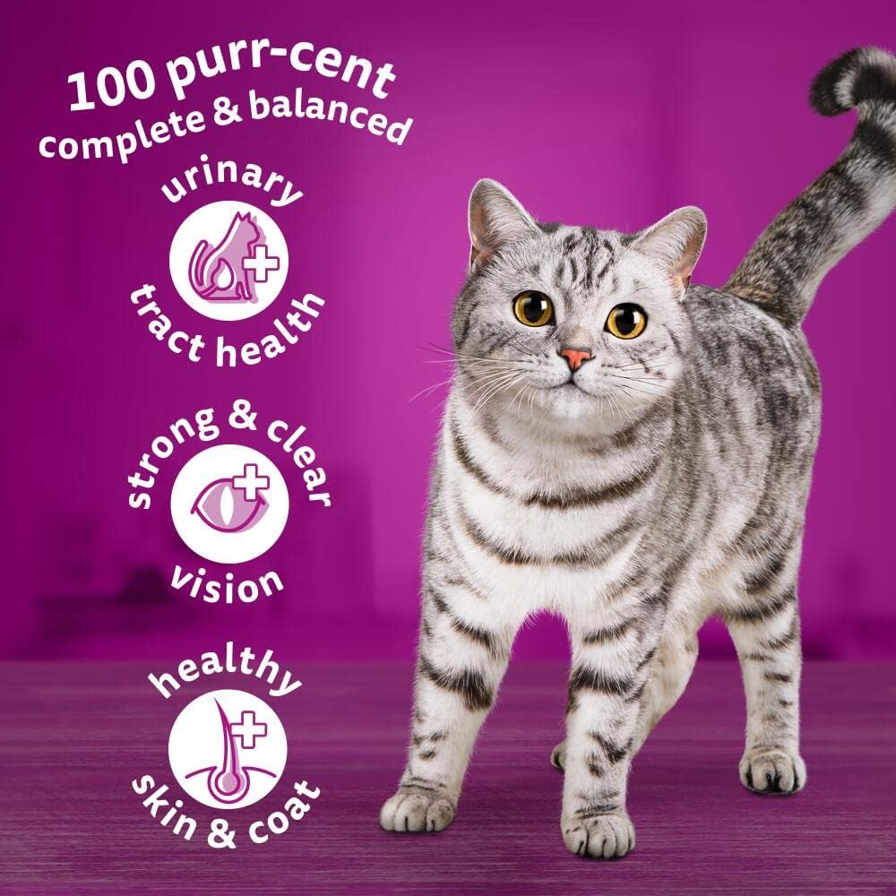 Whiskas 1+ Adult Dry Cat Food - Biscuits Made with Chicken | 14kg Bag |KittyMart
