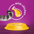 Whiskas 1+ Adult Dry Cat Food - Biscuits Made with Chicken | 14kg Bag |KittyMart