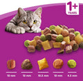 Whiskas 1+ Adult Dry Cat Food - Biscuits Made with Salmon| 11kg Bag |KittyMart
