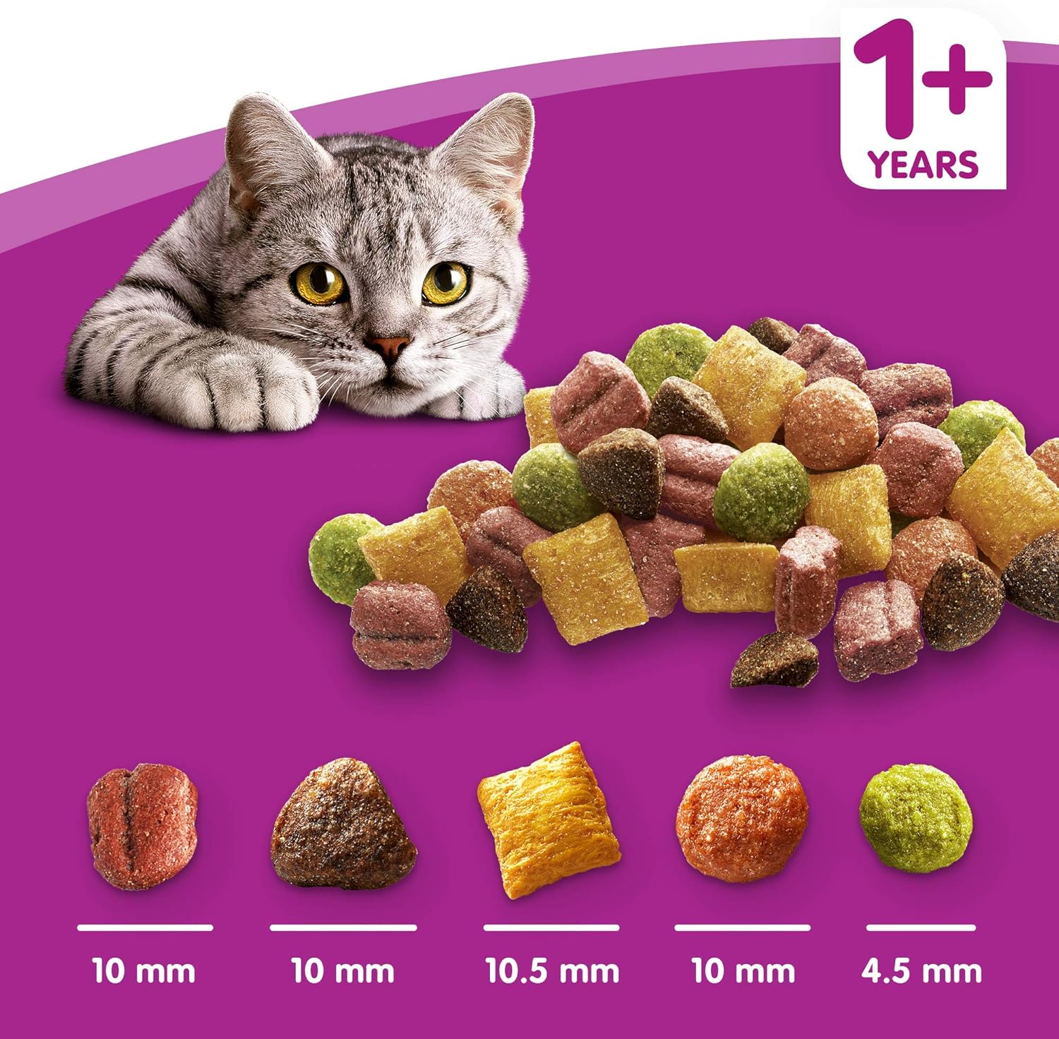 Whiskas 1+ Adult Dry Cat Food - Biscuits Made with Salmon| 11kg Bag |KittyMart
