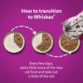 Whiskas 1+ Adult Duo Surf & Turf in Jelly - Wet Cat Food | 84 Pouch Megapack |KittyMart