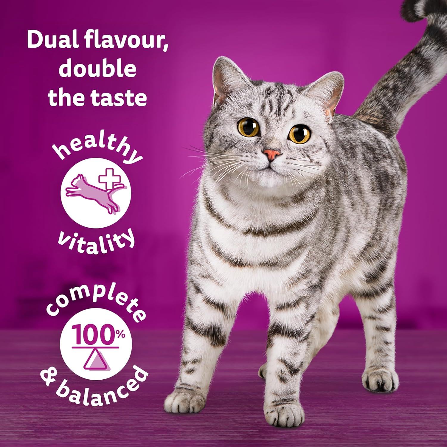 Whiskas 1+ Adult Duo Surf & Turf in Jelly - Wet Cat Food | 84 Pouch Megapack |KittyMart