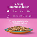 Whiskas 1+ Adult Duo Surf & Turf in Jelly - Wet Cat Food | 84 Pouch Megapack |KittyMart