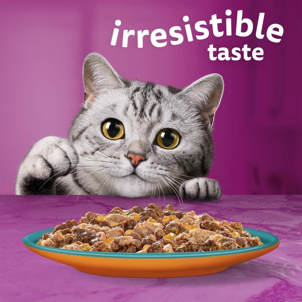 Whiskas 1+ Adult Duo Surf & Turf in Jelly - Wet Cat Food | 84 Pouch Megapack |KittyMart