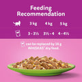 Whiskas 1+ Adult Mixed Selection in Jelly - Wet Cat Food | 84 Pouch Megapack |KittyMart