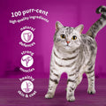 Whiskas 1+ Adult Poultry Selection in Jelly - Wet Cat Food | 120 Pouch Megapack |KittyMart