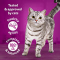 Whiskas 1+ Adult Tasty Mix Country Collection in Gravy - Wet Cat Food | 84 Pouch Megapack |KittyMart
