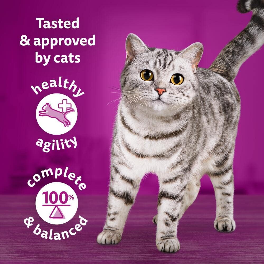 Whiskas 1+ Adult Tasty Mix Country Collection in Gravy - Wet Cat Food | 84 Pouch Megapack |KittyMart