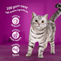 Whiskas 7+ Senior Poultry Feast in Jelly - Wet Cat Food | 120 Pouch Megapack |KittyMart