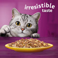 Whiskas 7+ Senior Poultry Feast in Jelly - Wet Cat Food | 120 Pouch Megapack |KittyMart