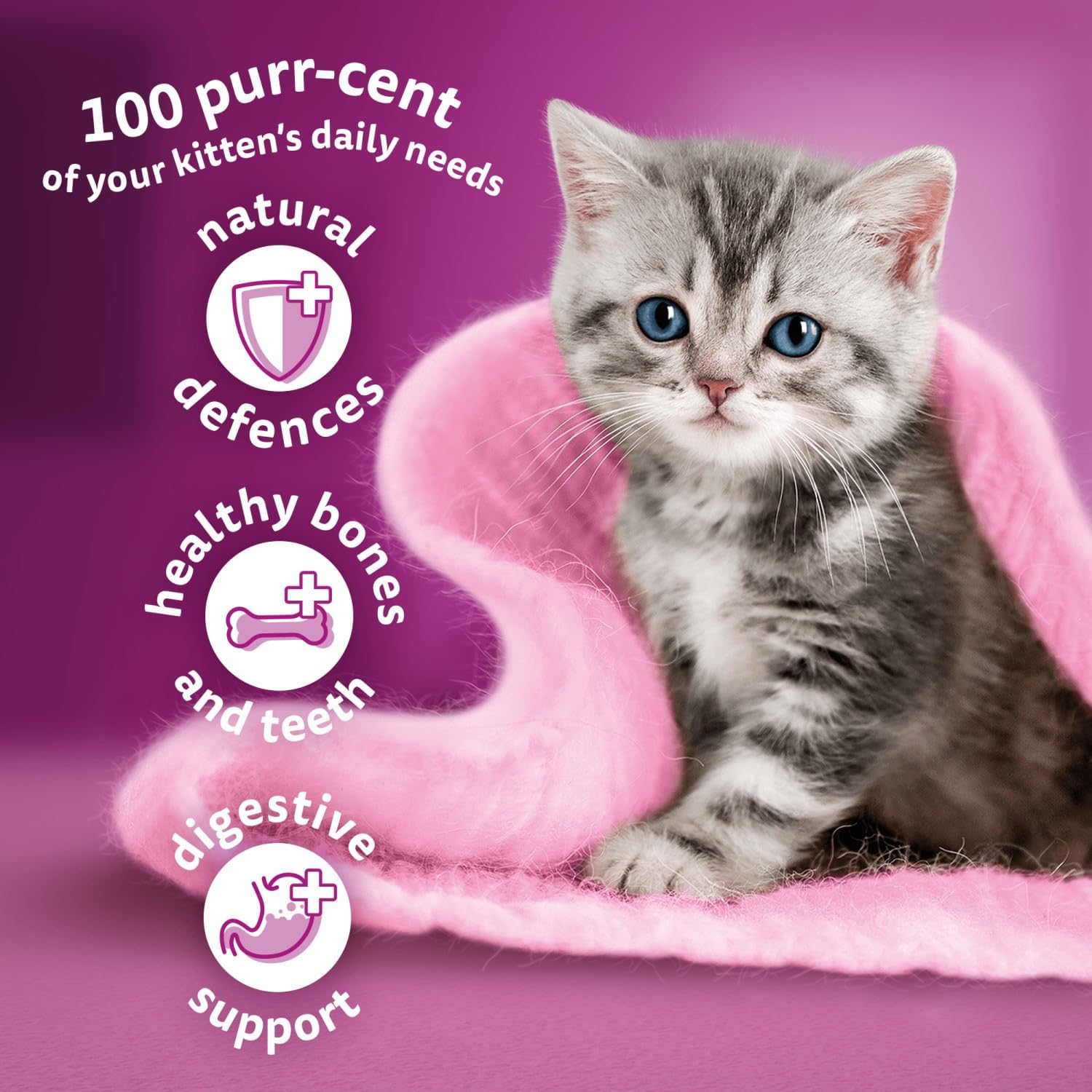 Whiskas Junior Chicken - Kitten Dry Food | 14kg Bag |KittyMart
