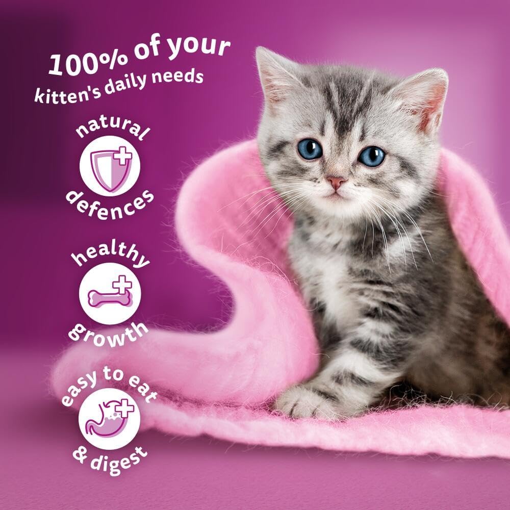 Whiskas Junior Classic Selection in Gravy - Wet Kitten Food | 84 Pouch Megapack |KittyMart