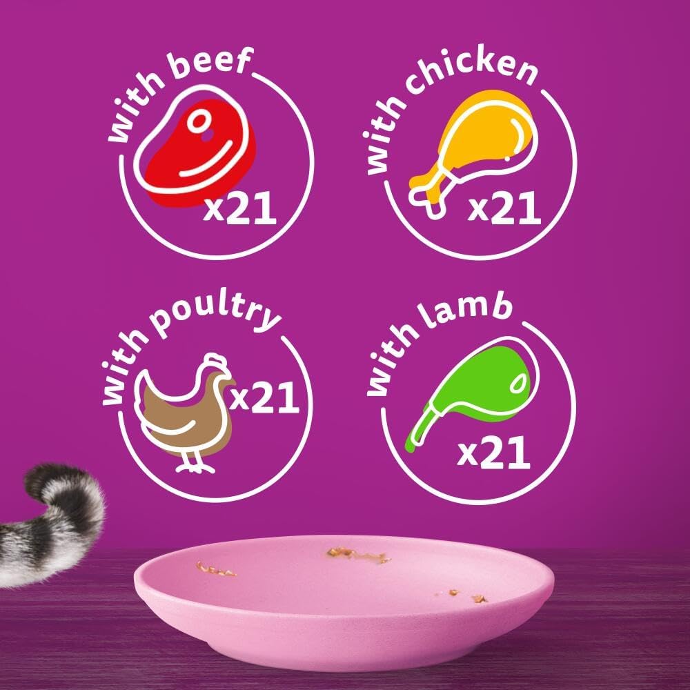 Whiskas Junior Classic Selection in Gravy - Wet Kitten Food | 84 Pouch Megapack |KittyMart